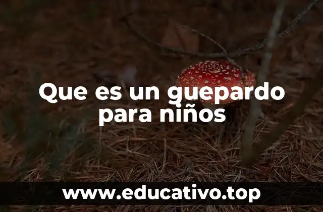 Que es un guepardo para niños