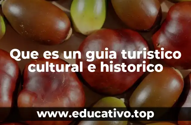 Que es un guia turistico cultural e historico