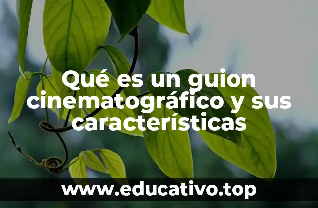 Qué es un guion cinematográfico y sus características