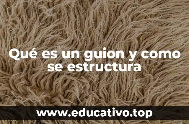 Qué es un guion y como se estructura