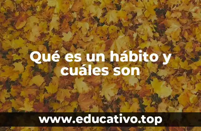 Los hábitos como pilares de la vida cotidiana