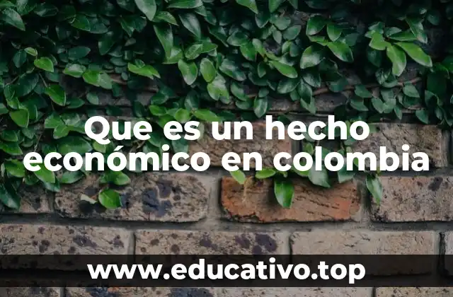 Que es un hecho económico en colombia