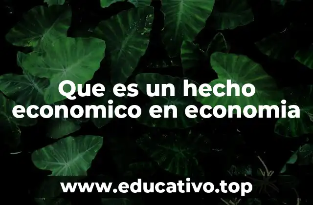 Que es un hecho economico en economia