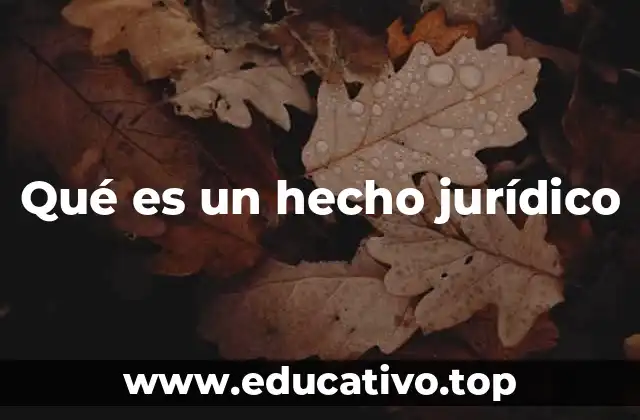 Qué es un hecho jurídico