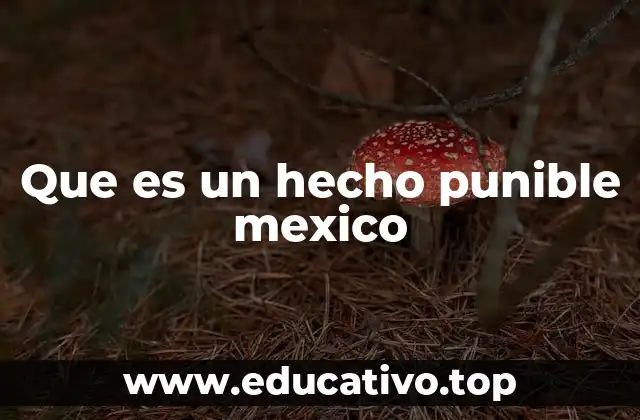 Que es un hecho punible mexico