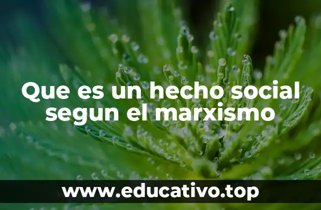 Que es un hecho social segun el marxismo