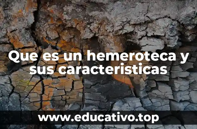 Que es un hemeroteca y sus caracteristicas