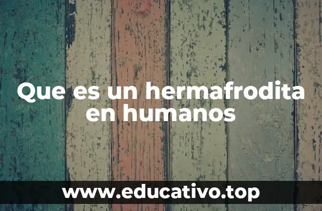 Que es un hermafrodita en humanos