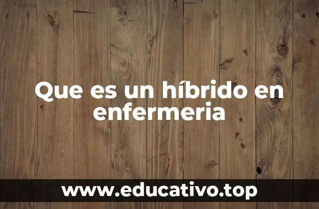 Que es un híbrido en enfermeria
