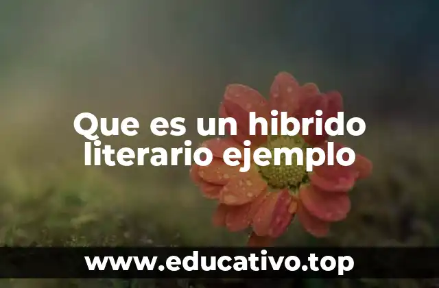 Que es un hibrido literario ejemplo