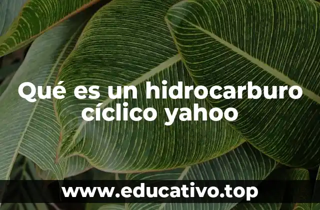 Qué es un hidrocarburo cíclico yahoo