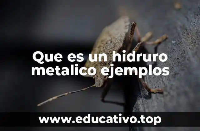 Que es un hidruro metalico ejemplos