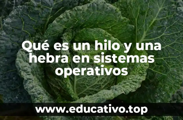 Qué es un hilo y una hebra en sistemas operativos
