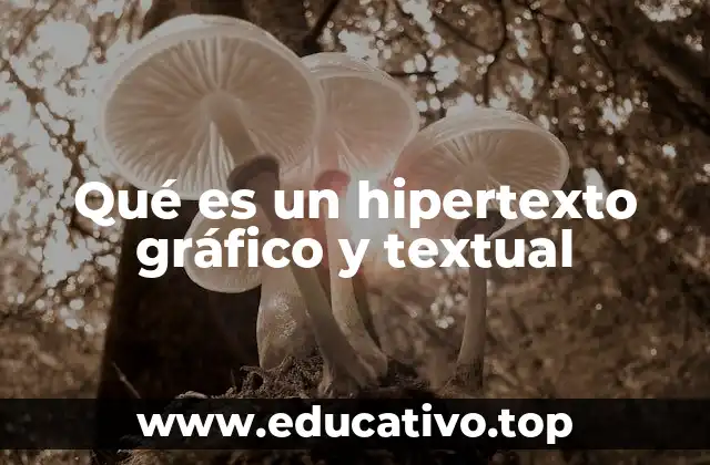 Qué es un hipertexto gráfico y textual