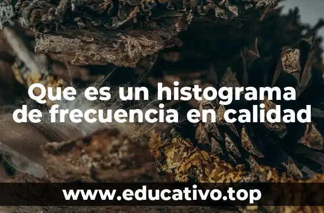 Que es un histograma de frecuencia en calidad