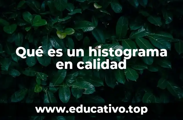 Qué es un histograma en calidad
