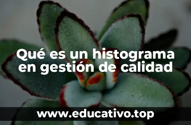 Qué es un histograma en gestión de calidad