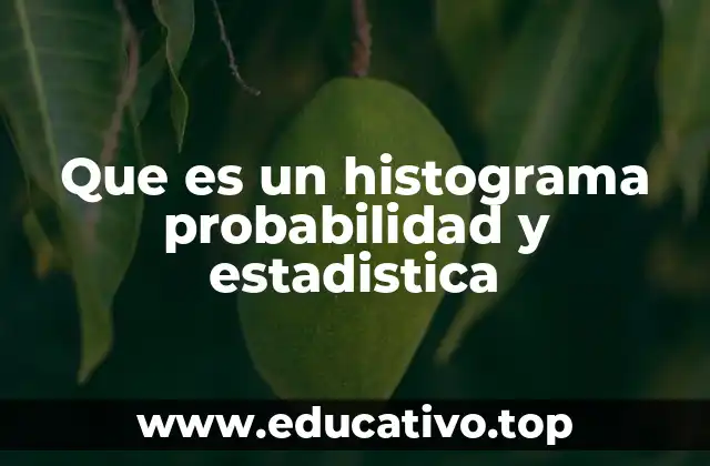 Que es un histograma probabilidad y estadistica