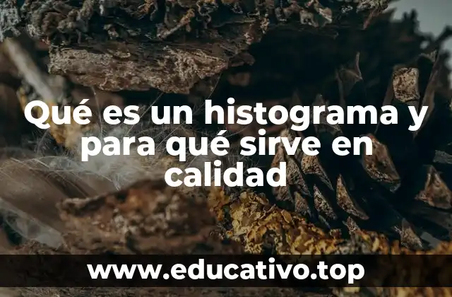 Qué es un histograma y para qué sirve en calidad