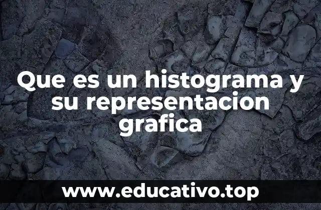 Que es un histograma y su representacion grafica