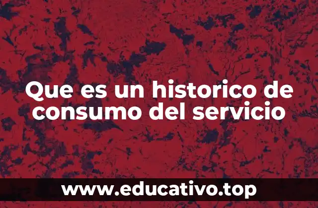 Que es un historico de consumo del servicio