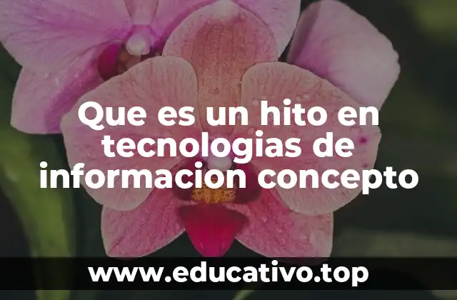 Que es un hito en tecnologias de informacion concepto