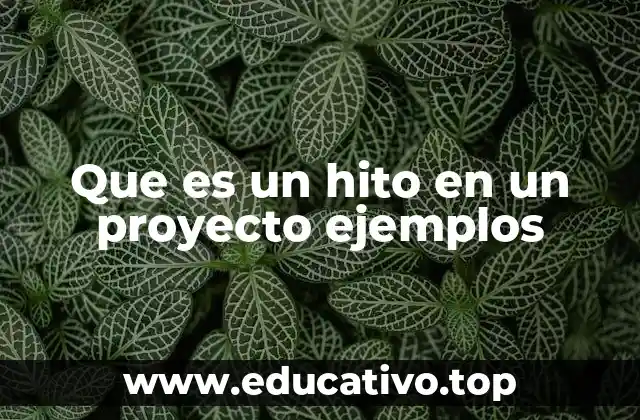 Que es un hito en un proyecto ejemplos