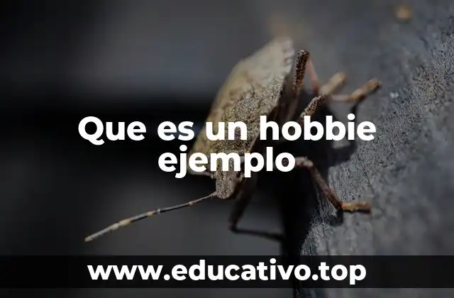 Que es un hobbie ejemplo