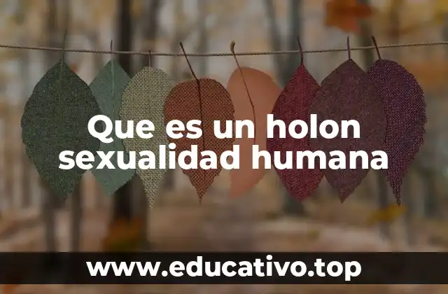 Que es un holon sexualidad humana