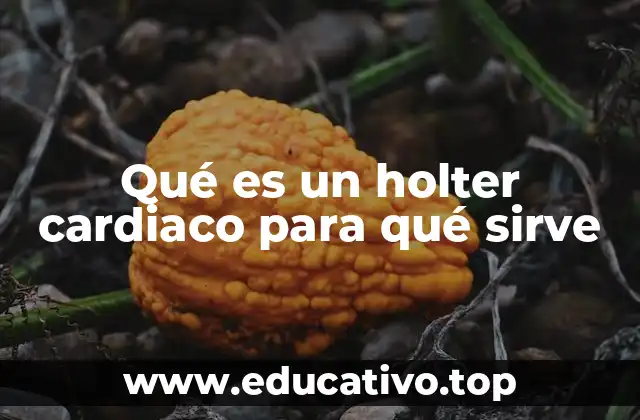 Qué es un holter cardiaco para qué sirve