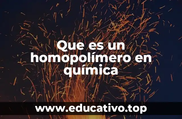 Que es un homopolímero en química