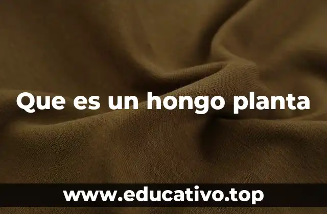 Que es un hongo planta