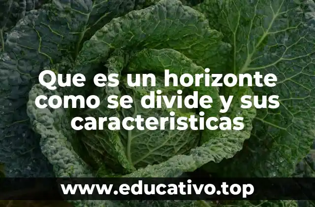 Que es un horizonte como se divide y sus caracteristicas