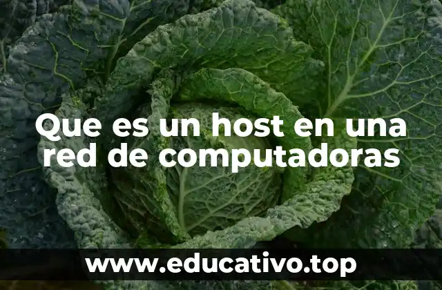 Que es un host en una red de computadoras