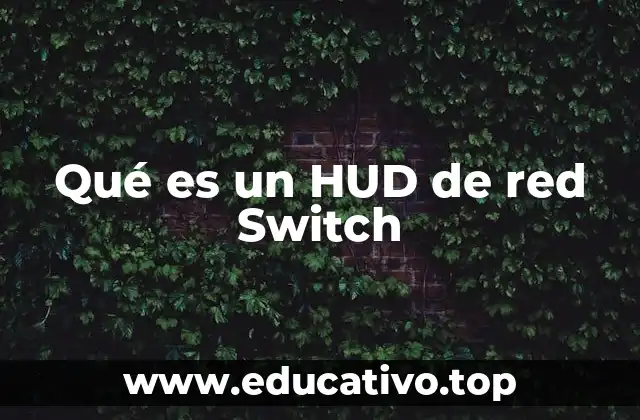Qué es un HUD de red Switch