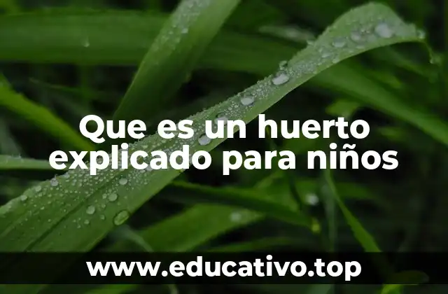 El jardín de la comida: cómo los huertos nos dan lo que necesitamos