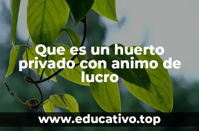 Que es un huerto privado con animo de lucro