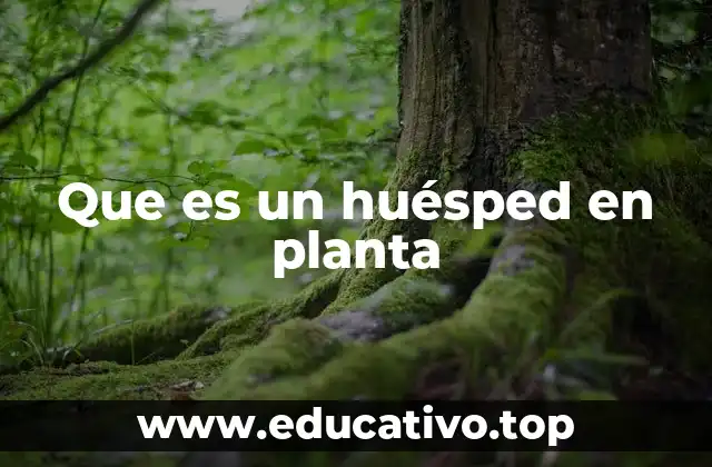 Que es un huésped en planta