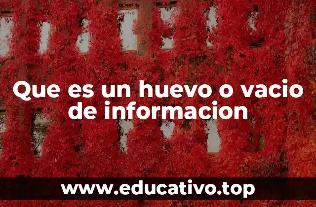Que es un huevo o vacio de informacion
