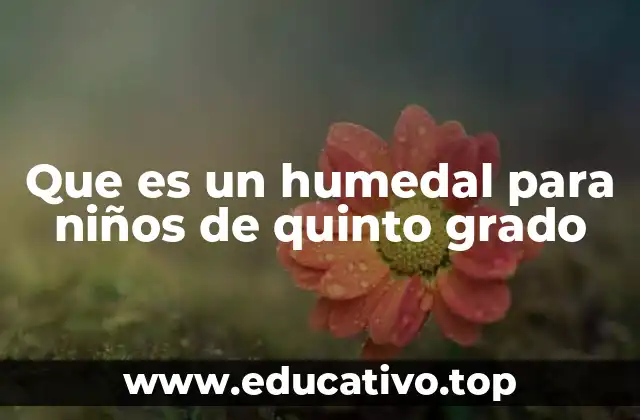 Que es un humedal para niños de quinto grado