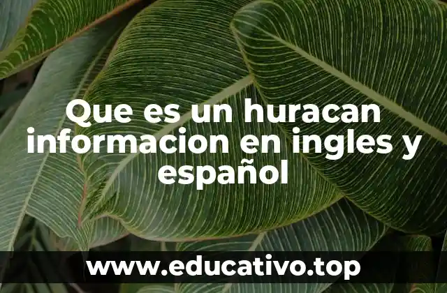 Que es un huracan informacion en ingles y español