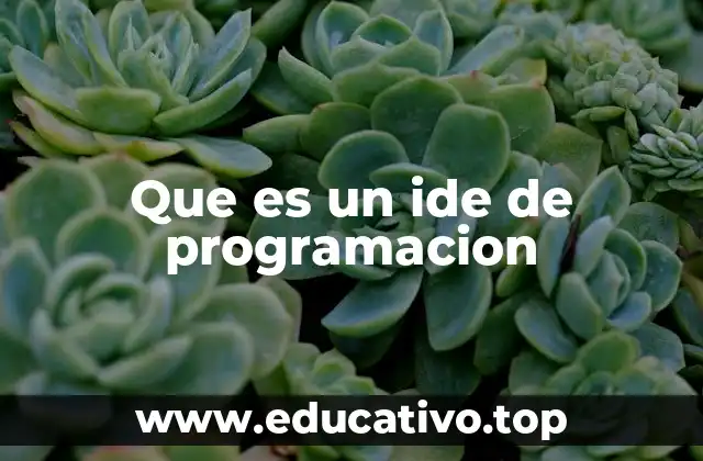 Que es un ide de programacion