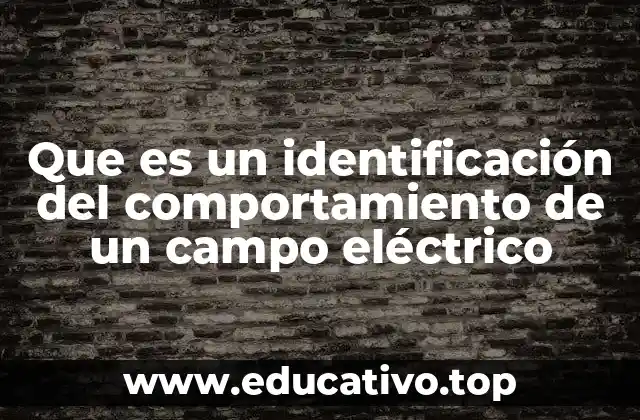 Que es un identificación del comportamiento de un campo eléctrico