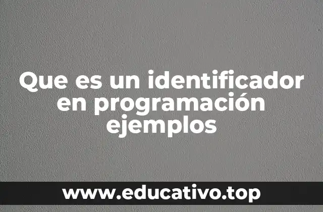 Que es un identificador en programación ejemplos