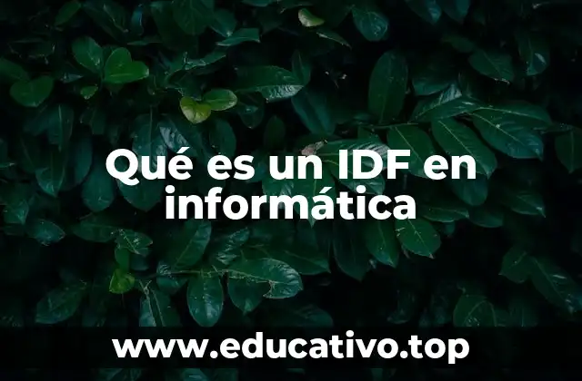 Qué es un IDF en informática
