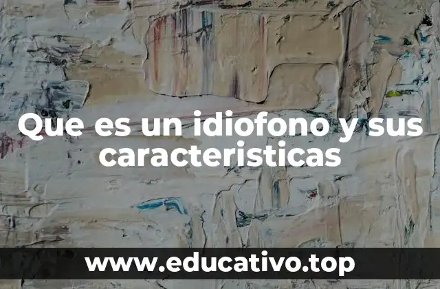 Que es un idiofono y sus caracteristicas