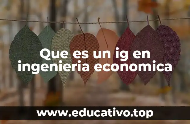 Que es un ig en ingenieria economica