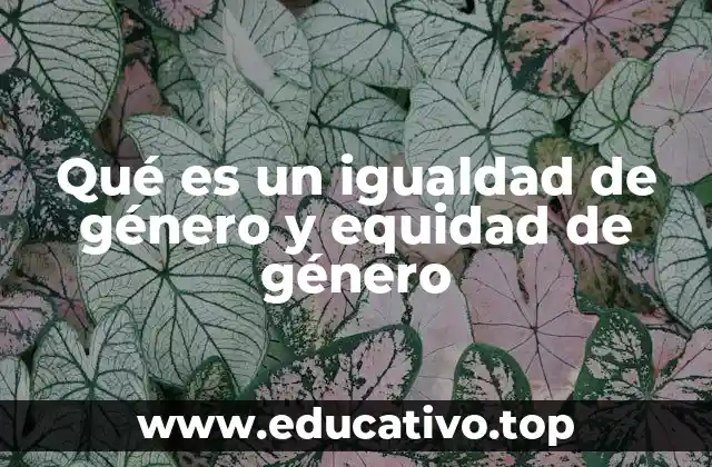 Qué es un igualdad de género y equidad de género