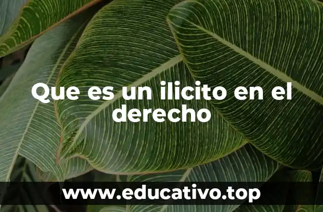 Que es un ilicito en el derecho