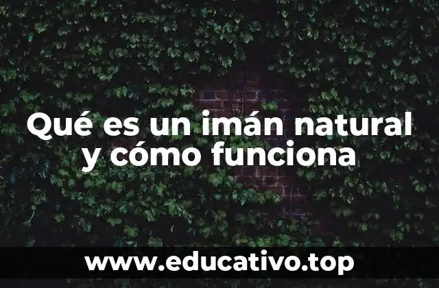 Qué es un imán natural y cómo funciona